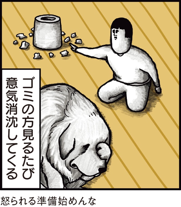 怒られる準備する犬 （C）まめきちまめこ／KADOKAWA