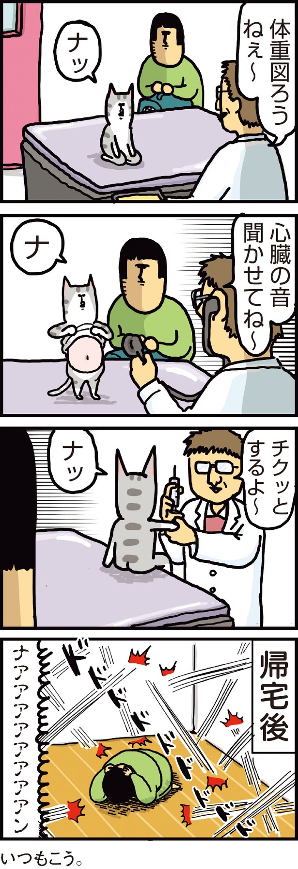 家と病院で違いすぎる猫 （C）まめきちまめこ／KADOKAWA