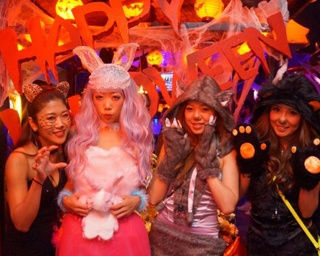 障子を破り放題！「和風ハロウィンナイト」が六本木で開催