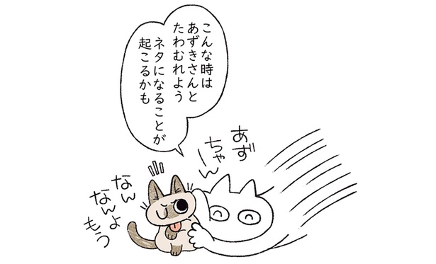 マンガのネタになることが起こるかも！ 猫とたわむれてみた結果（レタスクラブ）｜ｄメニューニュース（NTTドコモ）