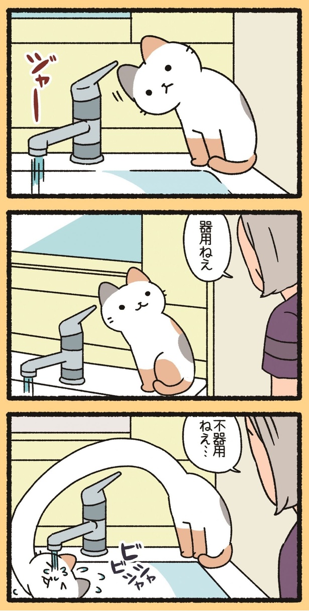 器用ねえ （C）ぱんだにあ／竹書房