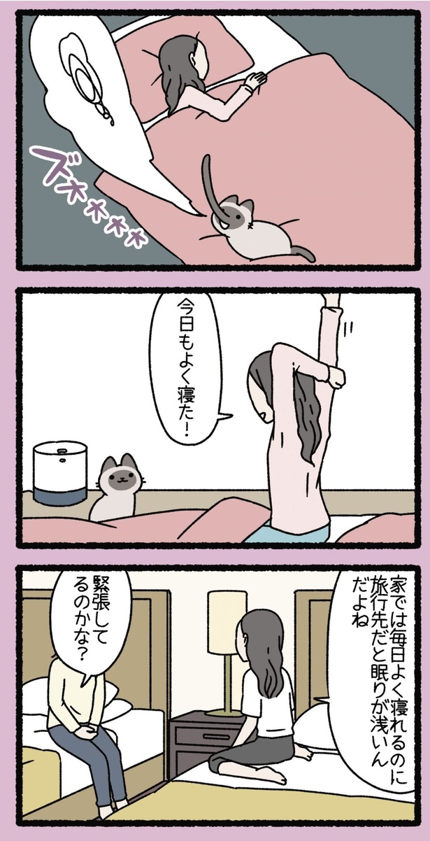 今日もよく寝た！ （C）ぱんだにあ／竹書房