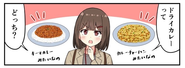 ドライカレーの定義とは？ ちゃー(@tyanekosu)