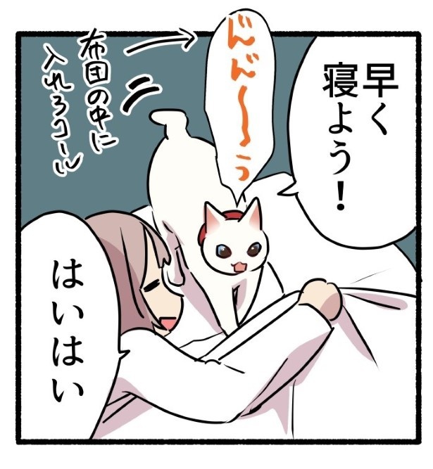 冬の猫に苦しめられている話_P04
