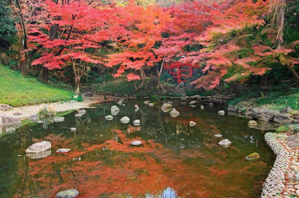 最盛期には大堰川が朱色に染まる／小石川後楽園