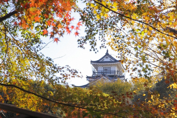 赤や黄色など鮮やかに色づいた木々が園内を彩る／浜松城公園