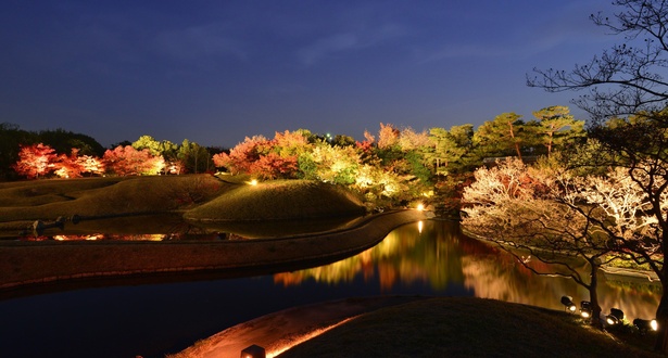 水面に映り込むライトアップされた逆さ紅葉が見もの／梅小路公園 朱雀の庭