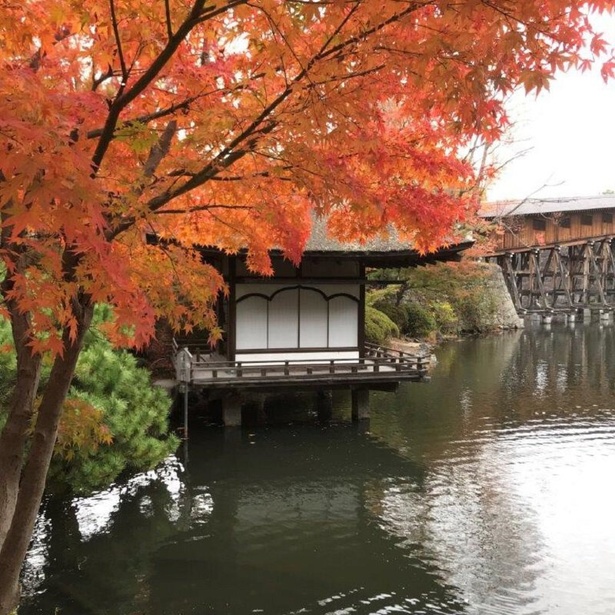 池に浮かぶ建物、鳶魚閣(えんぎょかく)の造形美も趣深い／西之丸庭園(紅葉渓庭園)