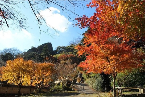 鮮やかな秋色に染まる景色が楽しめる／国東(文殊仙寺・岩戸耶馬)