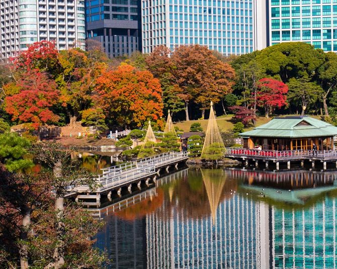 今週末(12月14日・12月15日)の紅葉見頃はここ！12月でもまだ見頃の全国の紅葉名所ガイド