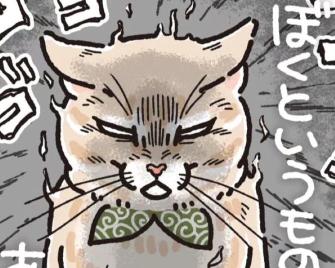 【ネコ漫画】「僕というものがありながら！」愛猫、麦くん嫉妬全開!!なぜかパパにまで恨まれて!?愛されるのも楽じゃない～(泣)【作者に聞く】