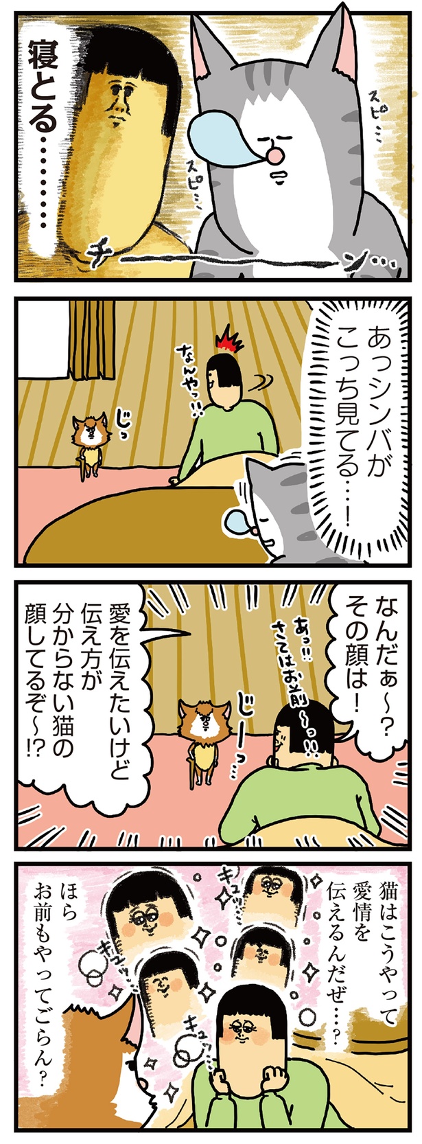 猫はこうやって愛情を伝えるんだぜ…？ （C）まめきちまめこ／KADOKAWA