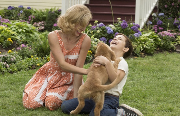 【写真を見る】50年で3回生まれ変わった犬が主人公の『僕のワンダフル・ライフ』