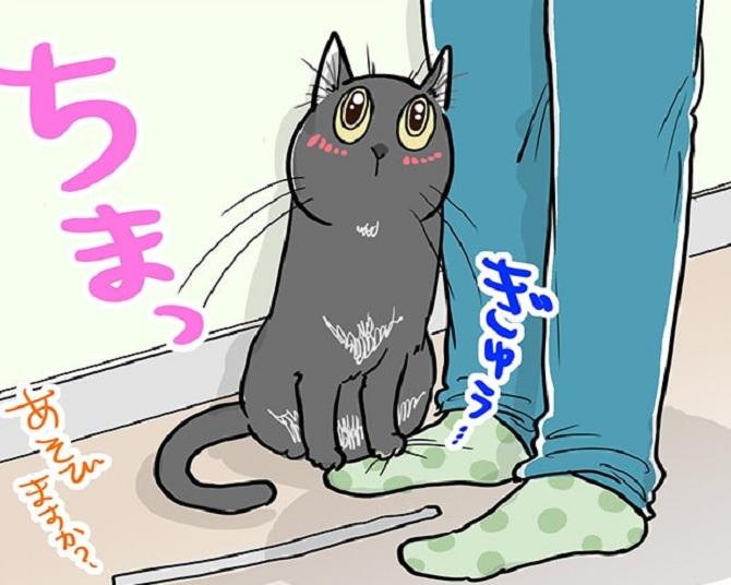 【ネコ漫画】世話好き猫ちゃんの行動にキュン！冬の“冷え性対策”はお任せあれ!?【作者に聞いた】