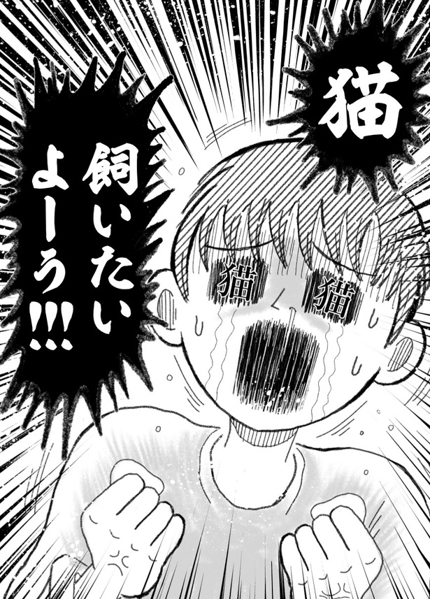第1話 猫いないからの猫いる(4)