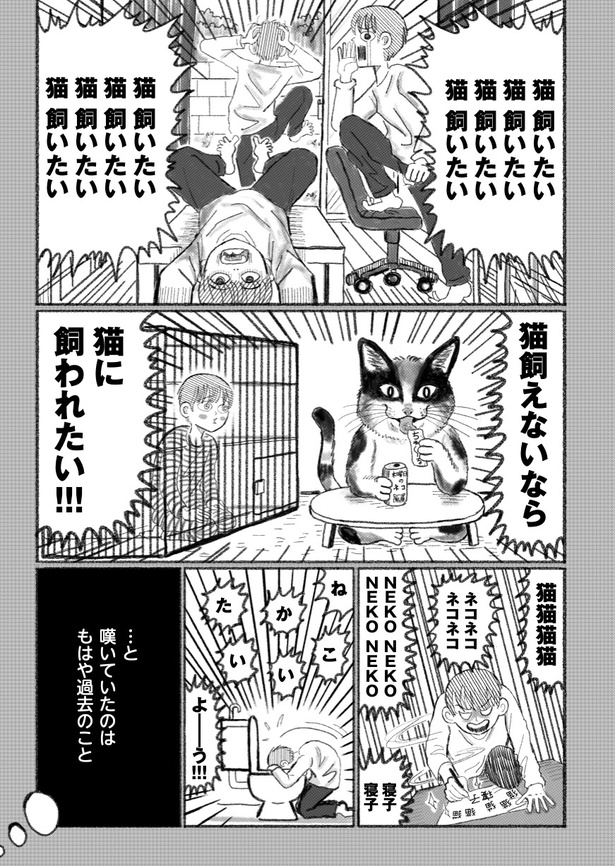 第1話 猫いないからの猫いる(5)