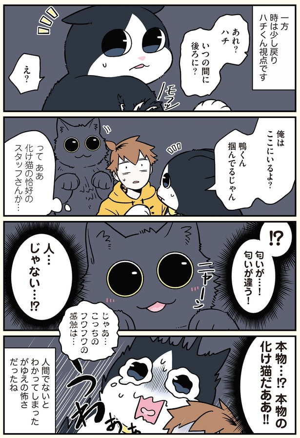 本物の化け猫だああ！！ （C）清水めりぃ／KADOKAWA