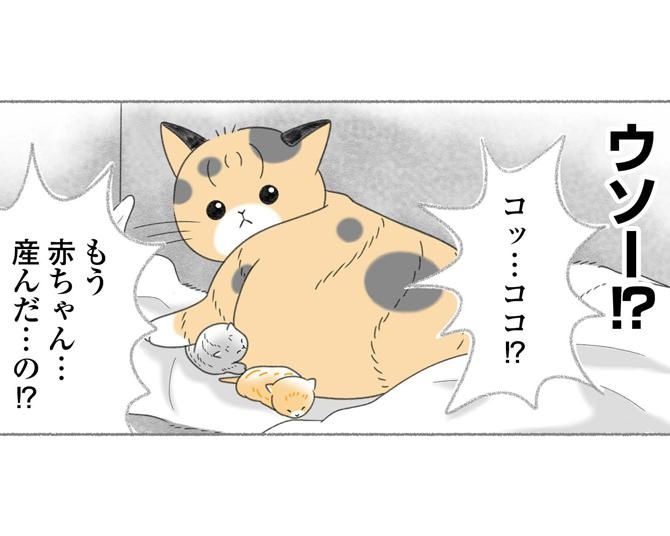 【ネコ漫画】保護した猫がいつのまにか出産していた!?母猫と子猫のために、人間ができることとは？