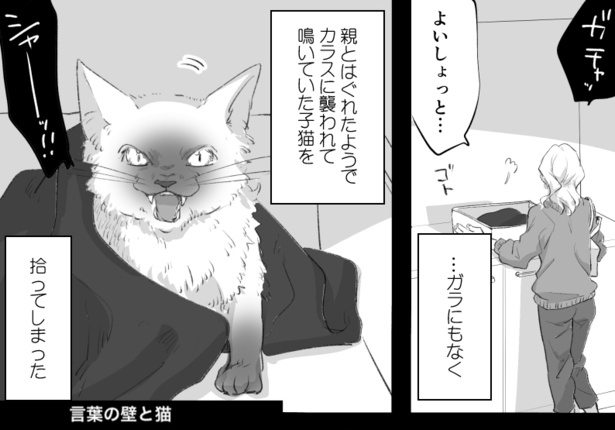 言葉の壁と猫(1) 画像提供：かっく(@cak221)