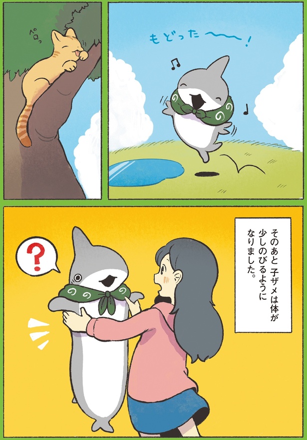 そのあと子ザメは… （C）ペンギンボックス／KADOKAWA