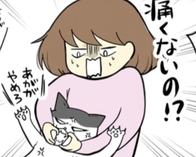 【ネコ漫画】発情期？それともストレス？猫がクッションをやたら噛むので通院したが、その原因に仰天！【作者に聞いた】