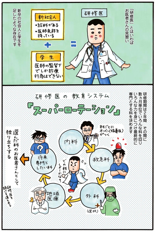 新卒の社会人と学生を混ぜたような存在です （C）水谷緑&POCHI／KADOKAWA