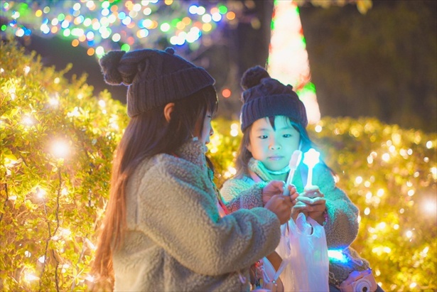 「光の花の庭」フォトコンテスト作品