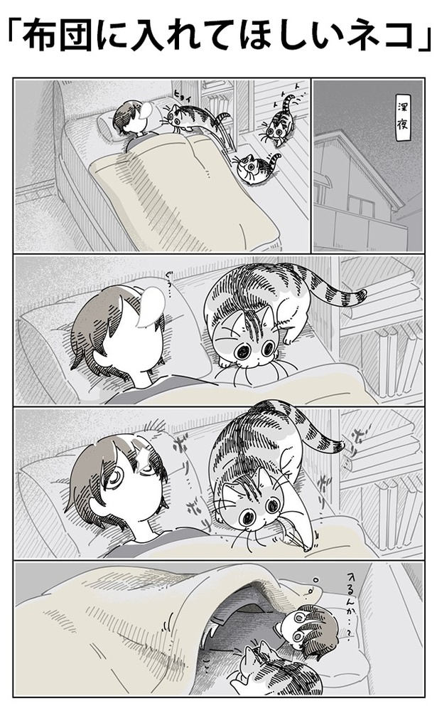 「布団に入れてほしいネコ」01
