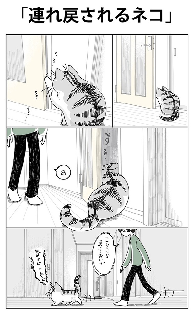 「連れ戻されるネコ」01