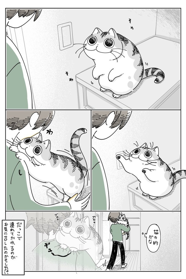 04