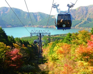 箱根や横浜で秋色の絶景！神奈川の紅葉名所4選 