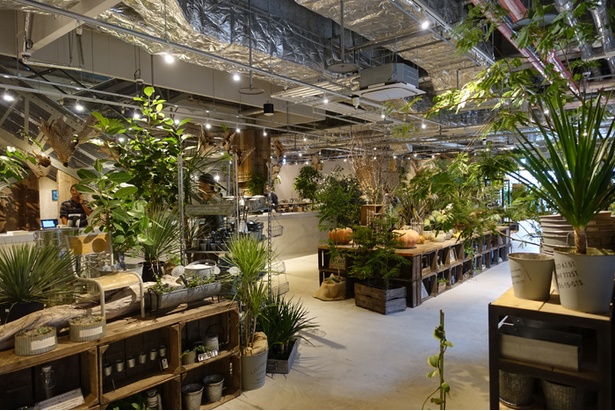 観葉植物やインテリア雑貨をい販売する「garage」。3階にはカフェとクラフトスペースを併設
