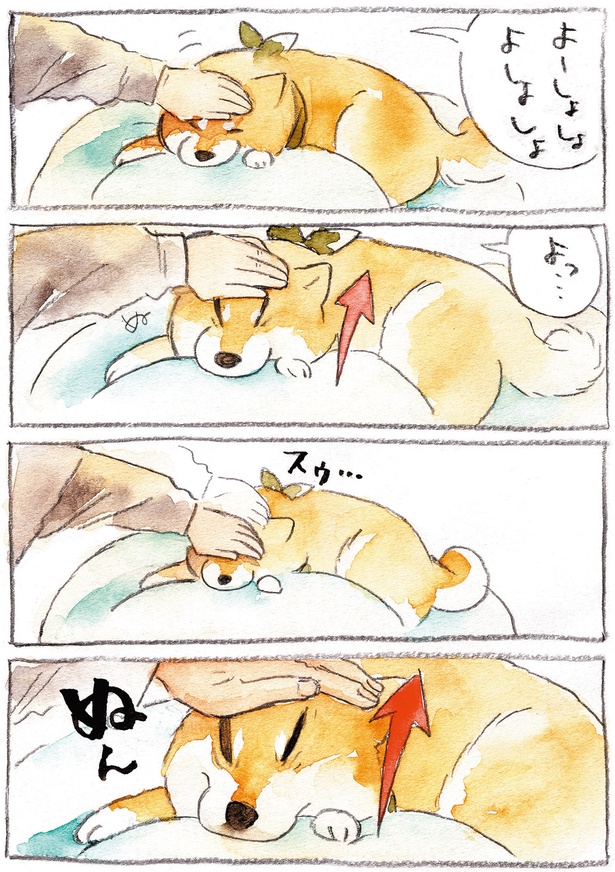 いないいないばあ （C）犬山スケッチ／KADOKAWA