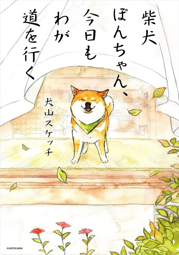 『柴犬ぽんちゃん、今日もわが道を行く』