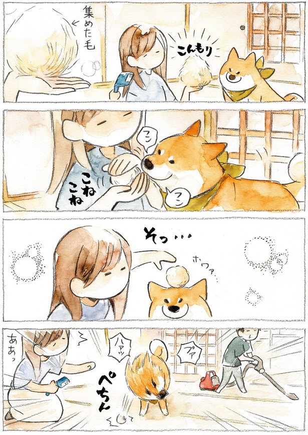 集めた毛を… （C）犬山スケッチ／KADOKAWA