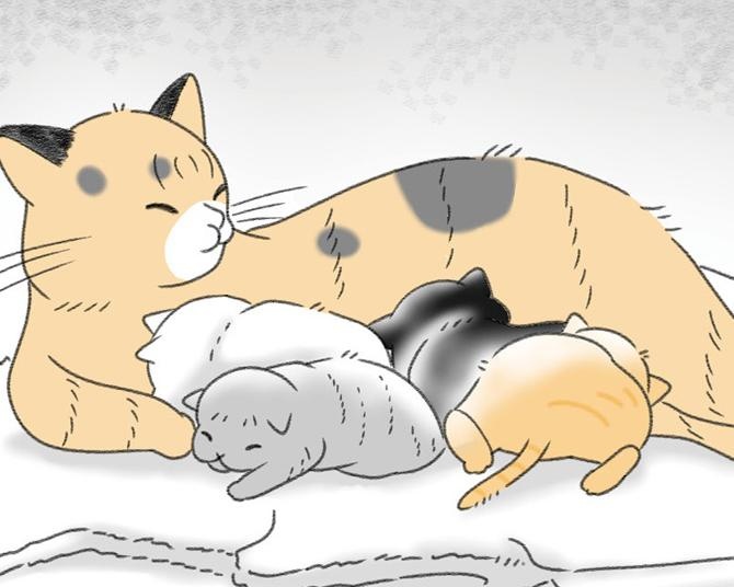 【ネコ漫画】子猫を自分たちで育てるか、里親に出すか。費用やお世話の面で悩んだ末に出した答えとは？