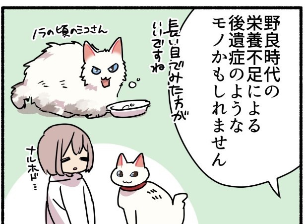 ミコさんがハゲてしまった話_P05