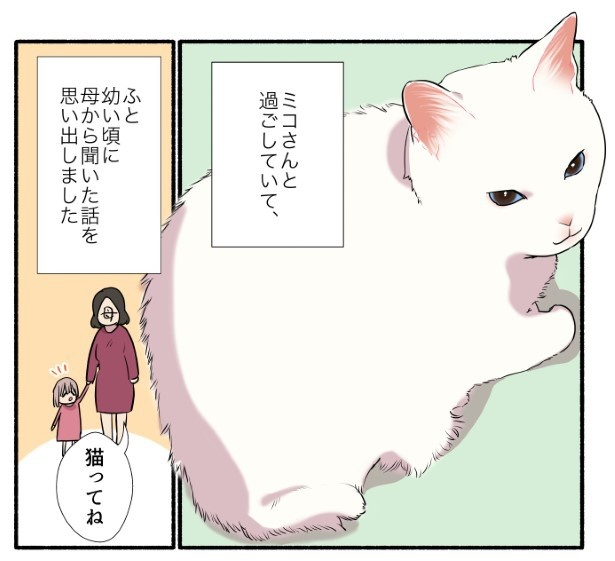 猫は「あとずさり」ができないって本当？_P01
