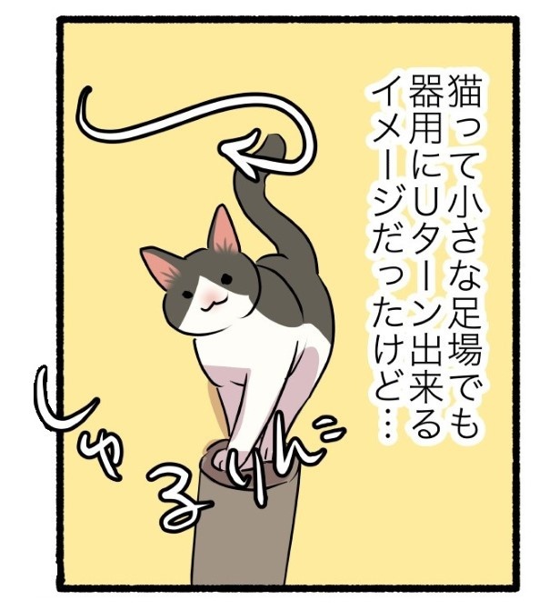 猫は「あとずさり」ができないって本当？_P05