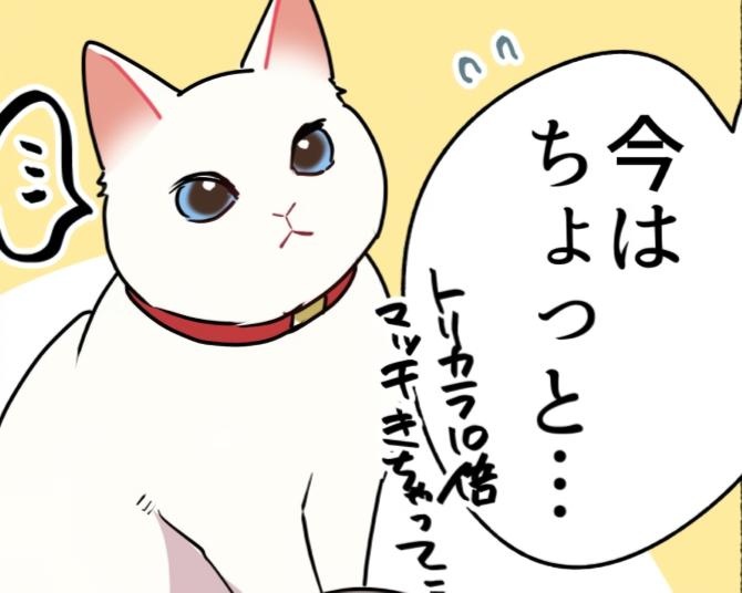 【ねこ漫画】猫の思い通りにいかない日もある!!←いや、謝罪＆訂正!!なんだかんだ猫の思い通りにされている話【作者に聞く】