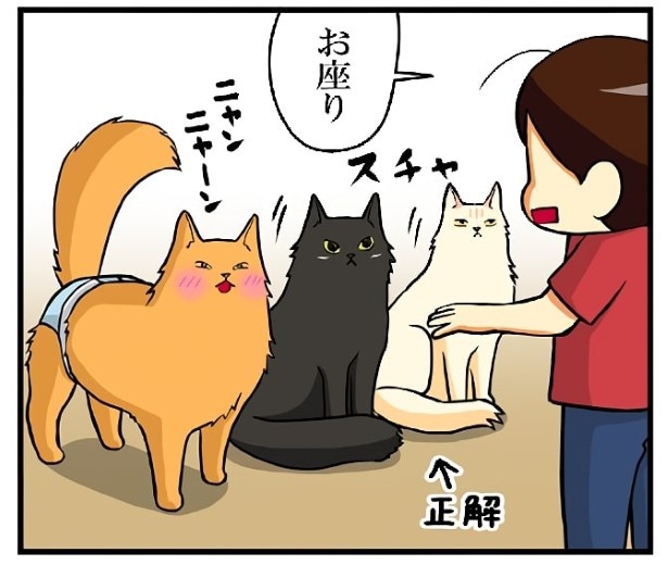 お座りとお手のできる子_P03