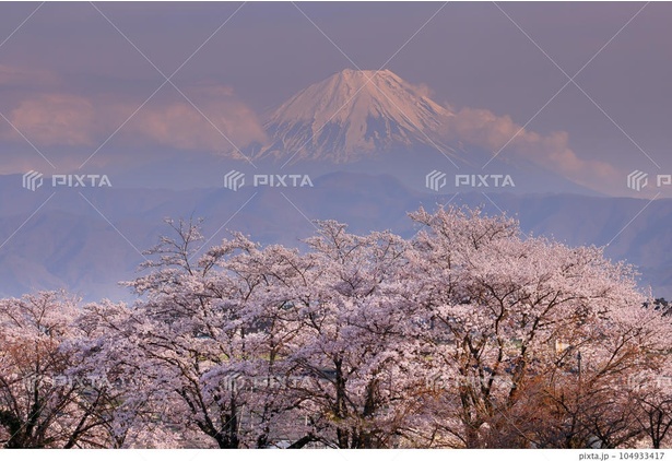 　https://pixta.jp/photo/104933417