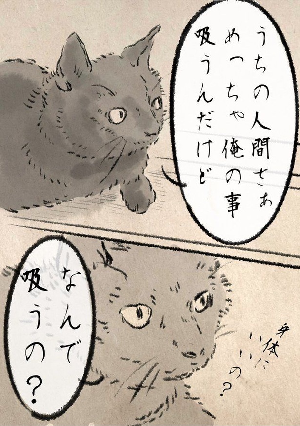 なんで?