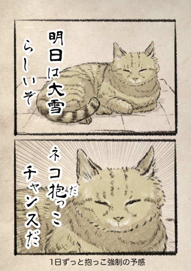 フォロワー2000人ありがとうございます。