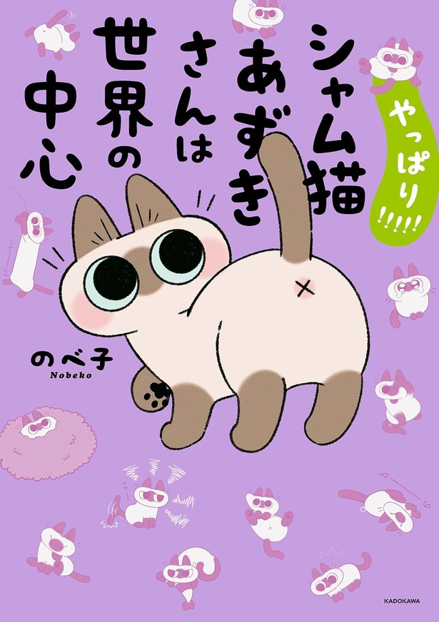 『やっぱり!!!!!シャム猫あずきさんは世界の中心』