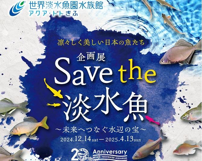 凛々しく美しい魚たちが間近で見られる「Save the淡水魚～未来へつなぐ水辺の宝～」開催中！企画背景には“絶滅危惧種”保全も