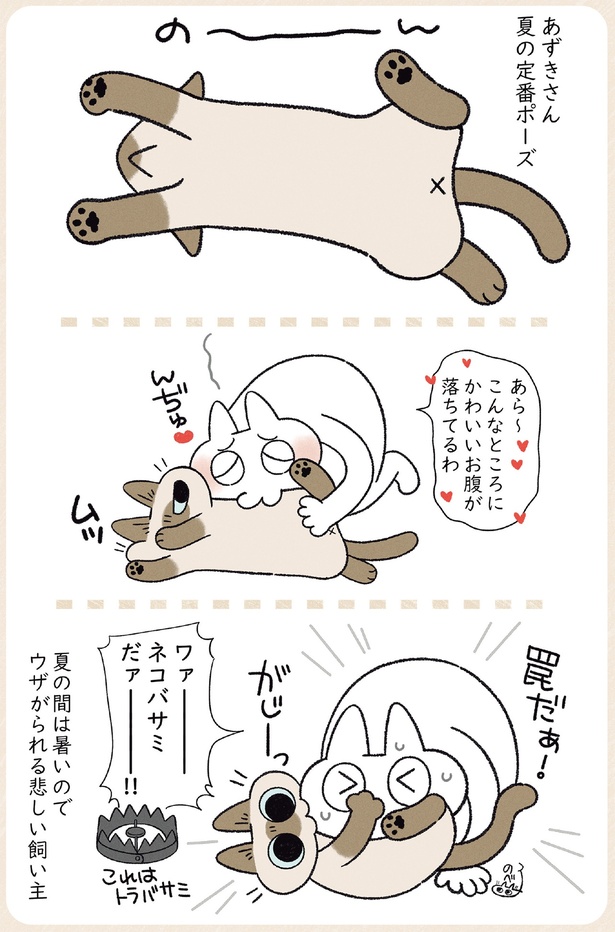 暑い時期はウザがられる悲しい飼い主 （C）のべ子／KADOKAWA