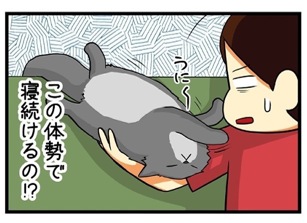 寝続けるノアル_P08