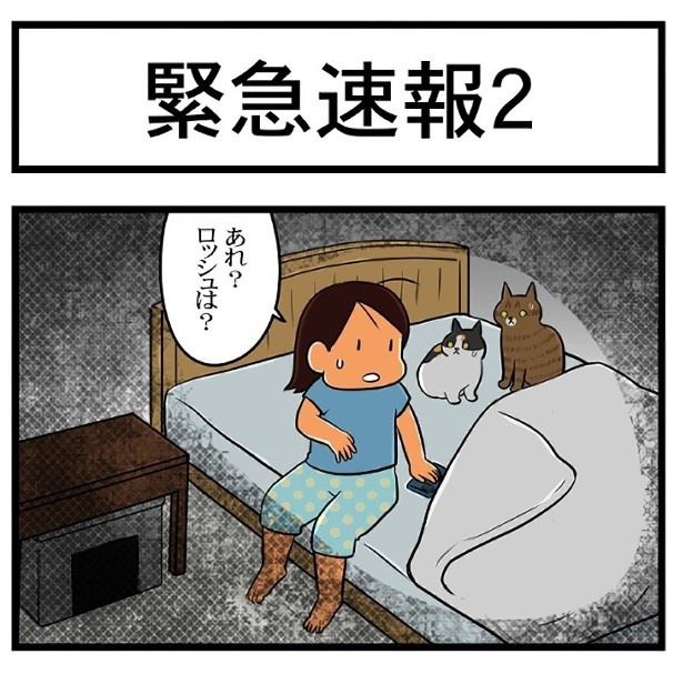 緊急速報_P05