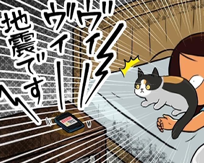 【ねこ漫画】「ヴィー、ヴィー、地震です！地震です！」緊急速報メールが!!そのとき猫は…!?【作者に聞く】